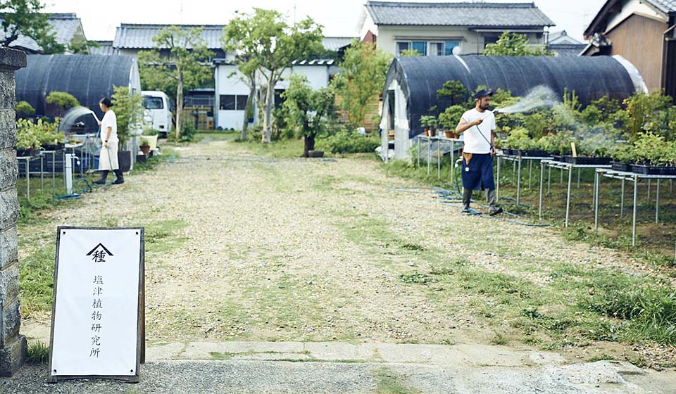 大和路 暮らしの間 第六回企画展「橿原の盆栽」 開催期間：8月10日(土)～9月6日(金)
